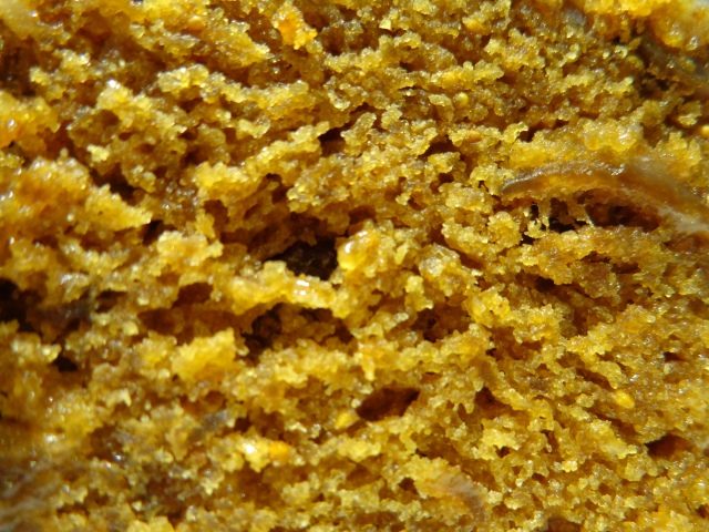 Lovely golden crumb